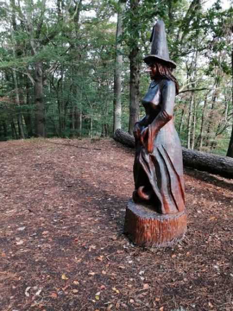 Foto: Abenteuer Eichholz / Sabine Trost